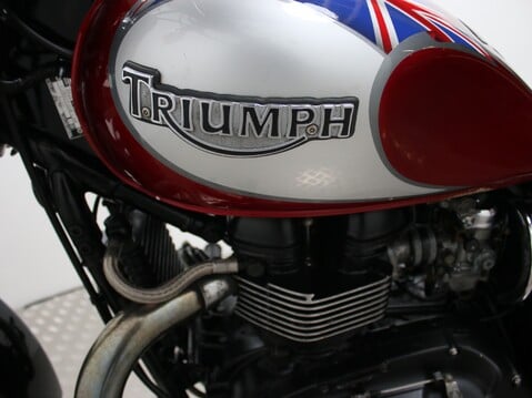 Triumph Speedmaster 800 SPEED MASTER 790 29