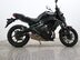 Kawasaki ER-6N EX650EDF 