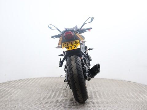 Triumph Street Triple STREET TRIPLE ABS - GOLD SPECIAL EDITION 11