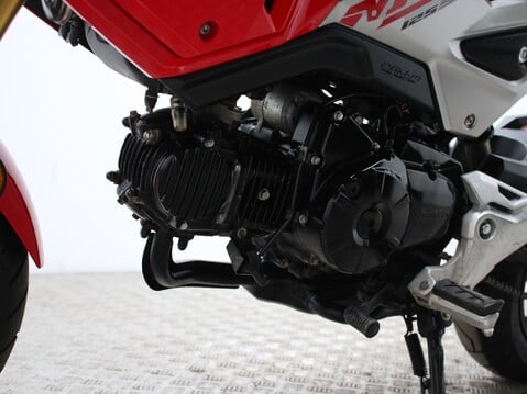 Honda MSX125 MSX 29