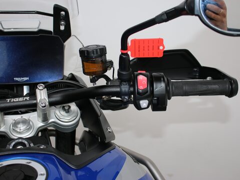 Triumph Tiger 900 TIGER 900 GT PRO 24