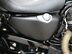 Harley-Davidson Sportster XL883N IRON 28