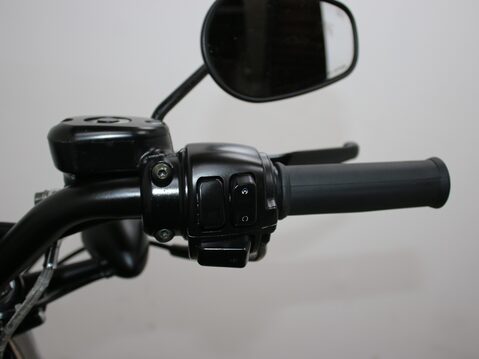 Harley-Davidson Sportster XL883N IRON 33