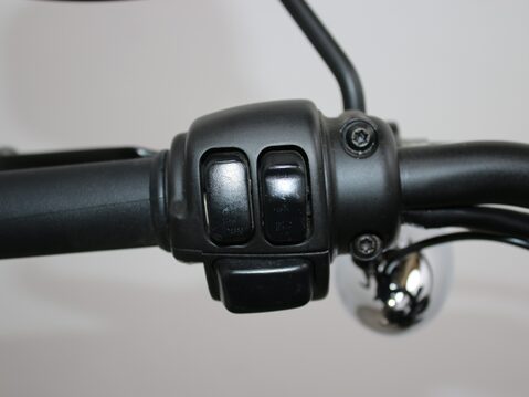 Harley-Davidson Sportster XL883N IRON 26