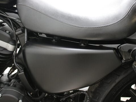 Harley-Davidson Sportster XL 883 N IRON 24