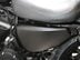 Harley-Davidson Sportster XL 883 N IRON 25