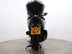 Honda Forza NSS 350 A-N 11