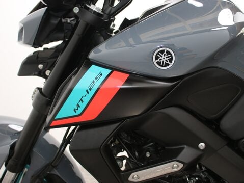 Yamaha MT-125 MT 125 (MTN 125-A) 31