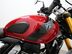 Triumph Scrambler 400 X SCRAMBLER 400X 29