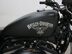 Harley-Davidson Sportster XL883N 20