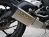 Triumph Daytona 675 DAYTONA 675 ABS 25