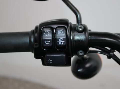 Harley-Davidson Sportster XL 883 N IRON 17 24