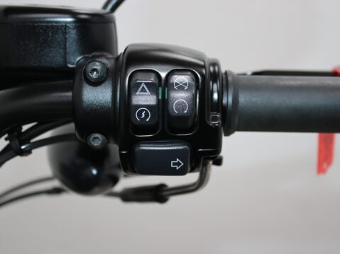 Harley-Davidson Sportster XL 883 N IRON 17 18