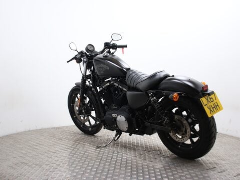 Harley-Davidson Sportster XL 883 N IRON 17 9