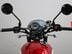Triumph Bonneville Newchurch BONNEVILLE NEWCHURCH 9