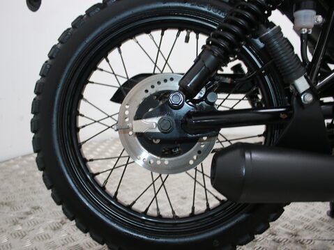 Mutt Hilts 125 HILTS 125 15