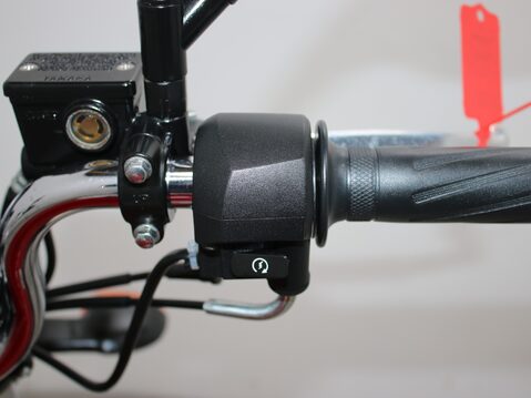 Yamaha YBR 125 YBR 125 25