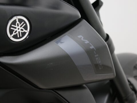 Yamaha MT-125 MT 125 (MTN 125-A) 24