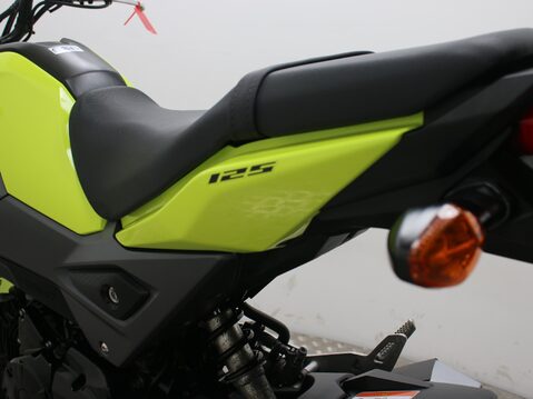 Honda MSX125 MSX 125-G 17