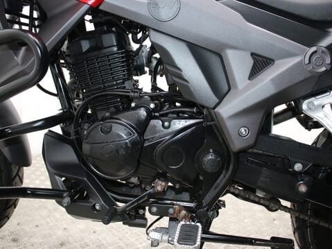 Sinnis Terrain 125 125-86 TERRAIN 24