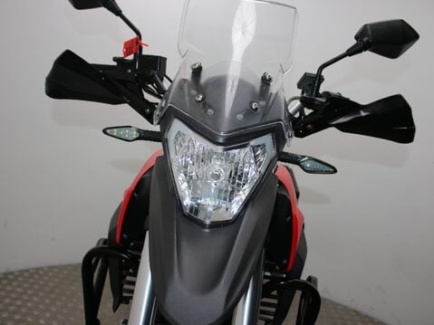 Sinnis Terrain 125 125-86 TERRAIN 26