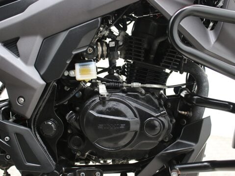 Sinnis Terrain 125 125-86 TERRAIN 25