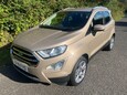 Ford Ecosport TITANIUM 12