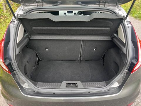 Ford Fiesta ZETEC 19