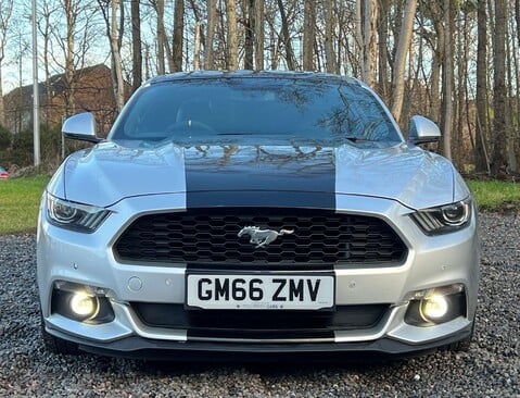 Ford Mustang 2.3 Mustang EcoBoost 2dr 8