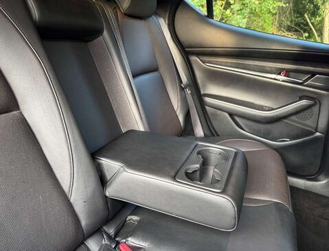 Mazda 3 2.0 3 GT Sport Tech MHEV 5dr 31