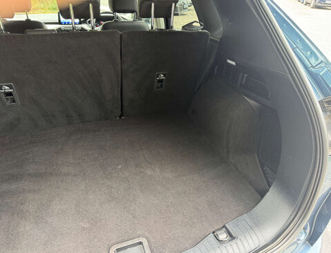 Ford Kuga 2.0 Kuga Titanium First Edition EcoBlue MHEV 5dr 11