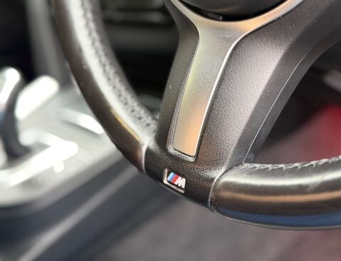 BMW 3 Series 3.0 330d xDrive M Sport Auto 4WD 4dr 38