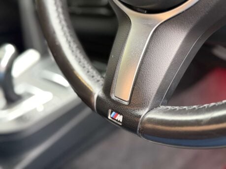 BMW 3 Series 3.0 330d xDrive M Sport Auto 4WD 4dr 38