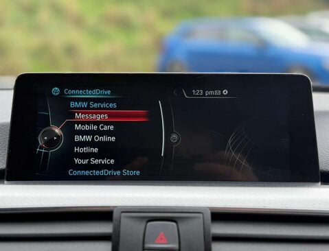 BMW 3 Series 3.0 330d xDrive M Sport Auto 4WD 4dr 33