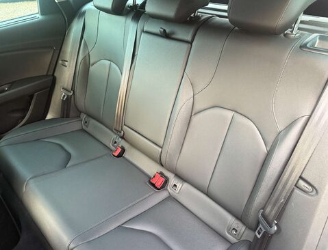 SEAT Leon 2.0 Leon Xcellence Luxury TSi Semi-Auto 5dr 22