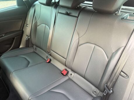 SEAT Leon 2.0 Leon Xcellence Luxury TSi Semi-Auto 5dr 22