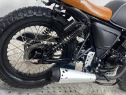 Mutt Akita 125 O-Ring Euro 5 6