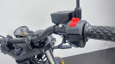 Mutt RS-13 125 Euro 5 31