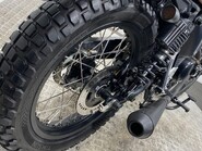 Mutt Akita AKITA 125 5