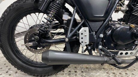 Mutt Akita AKITA 125 8
