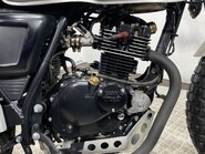 Mutt Akita AKITA 125 10