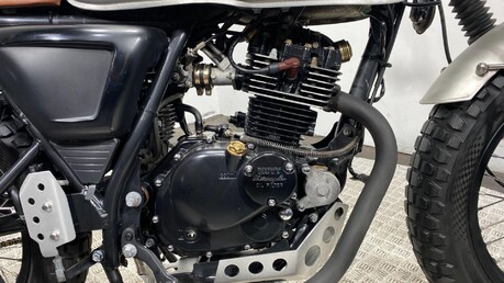 Mutt Akita AKITA 125 10