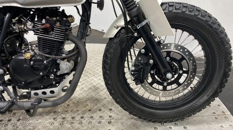 Mutt Akita AKITA 125 12