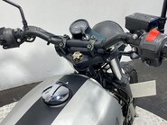 Mutt Akita AKITA 125 20