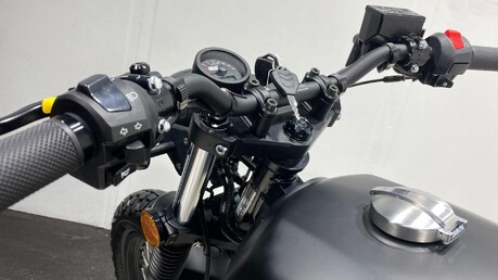 Mutt Akita AKITA 125 11