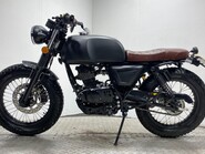 Mutt Akita AKITA 125 3