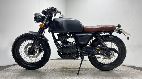 Mutt Akita AKITA 125 3