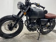 Mutt Akita AKITA 125 4