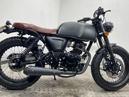 Mutt Akita AKITA 125 5