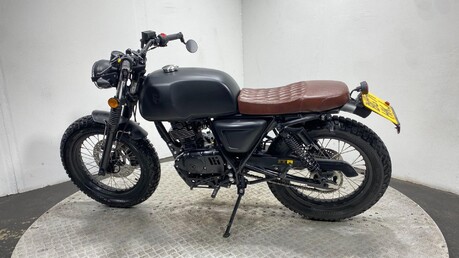 Mutt Akita AKITA 125 7